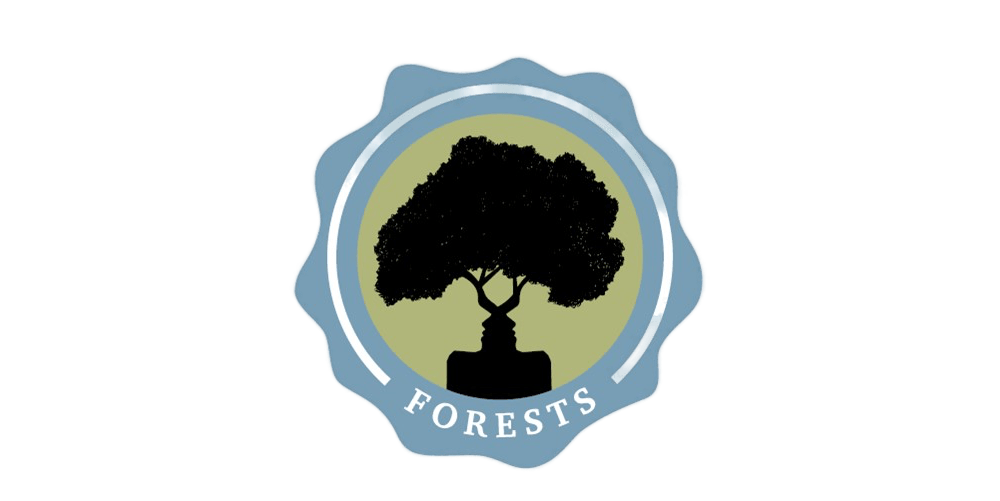 The Evolution and Ecology of Forests